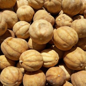 لیمو عمانی درشت