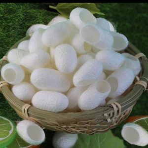 پیله ابریشم درجه یک